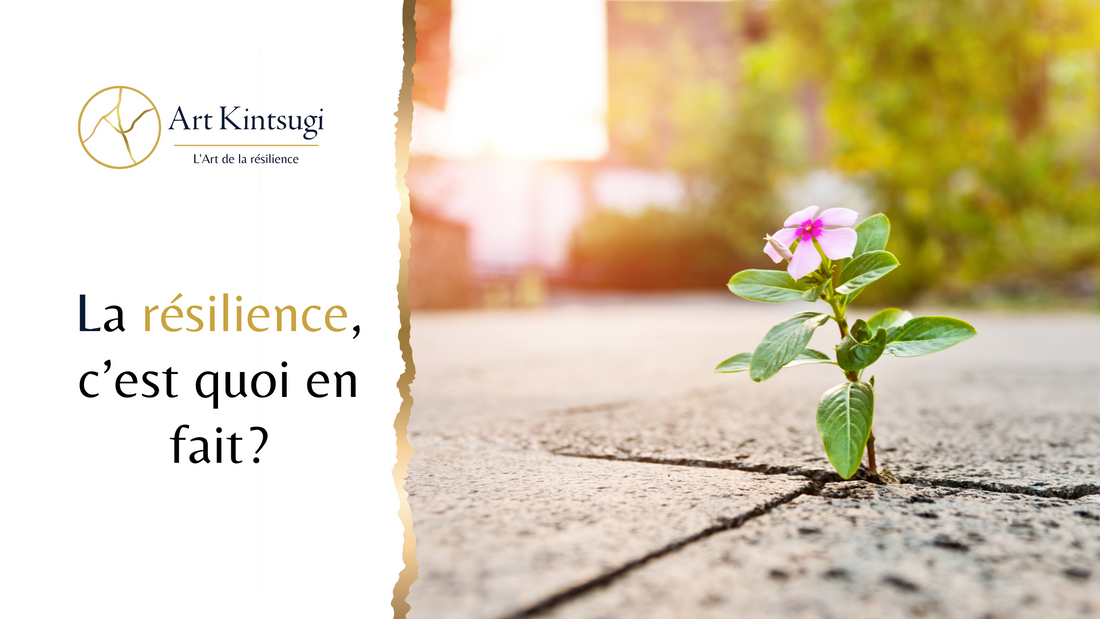 La résilience, c'est quoi en fait ?