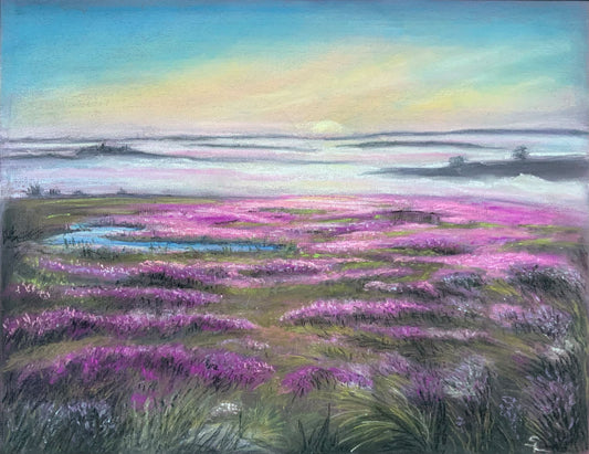 Dawn on the heather